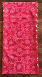 Funiverse Paisley Neck Tube Gaitor Face Covering Bandana  Funiverse Paisley Neck Tube Gaitor Face Covering Bandana